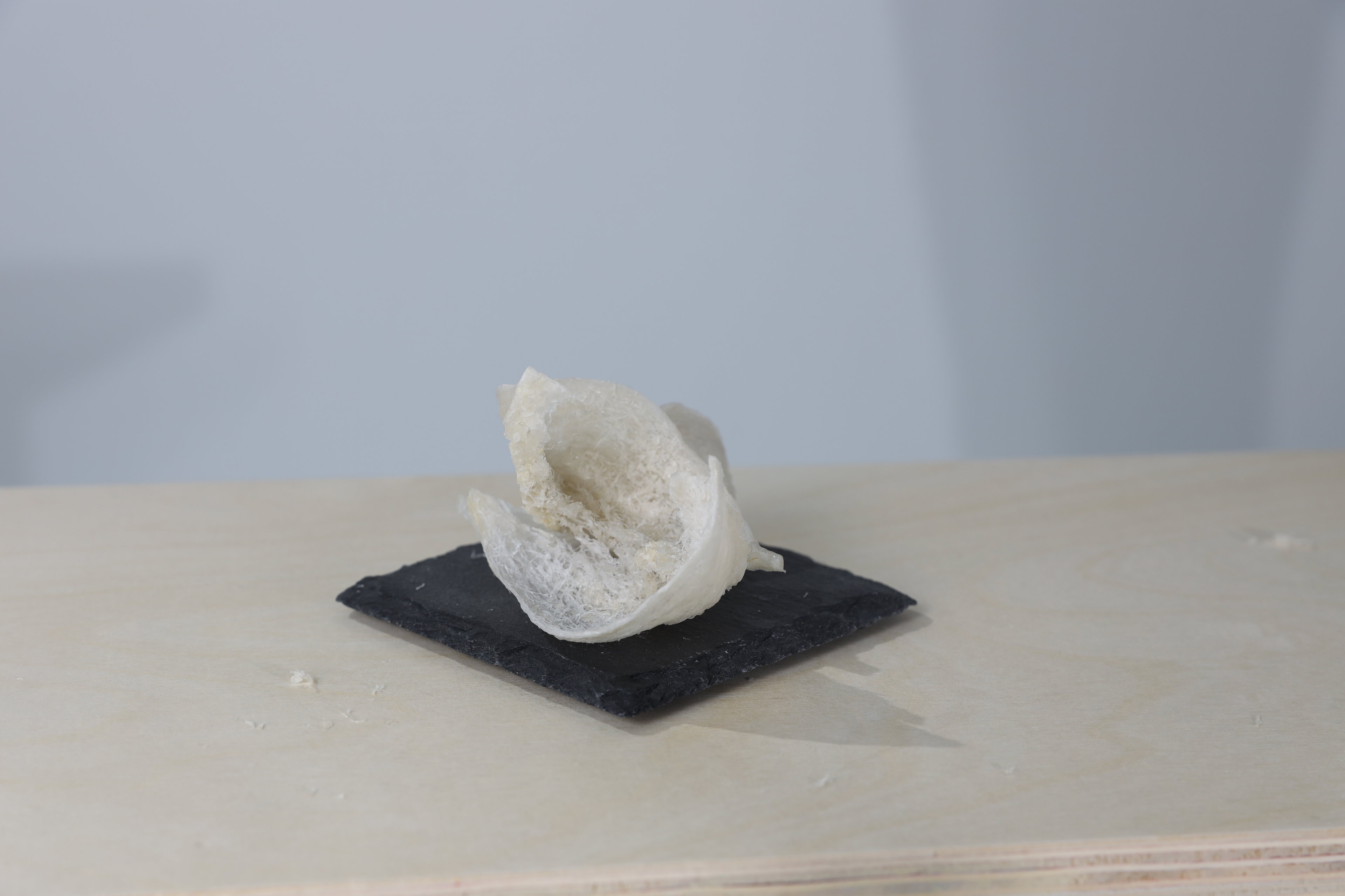 Royal Imperial Edible Bird's Nest (EBN)- Dried and Hand-Cleaned Premium Nest (50g)/(100g)_3