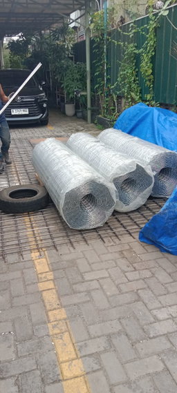 Galvanish Mesh 50x50