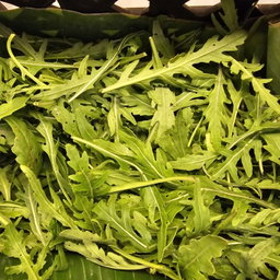 Rocket Salad/Arugula ລັອກແກັດ