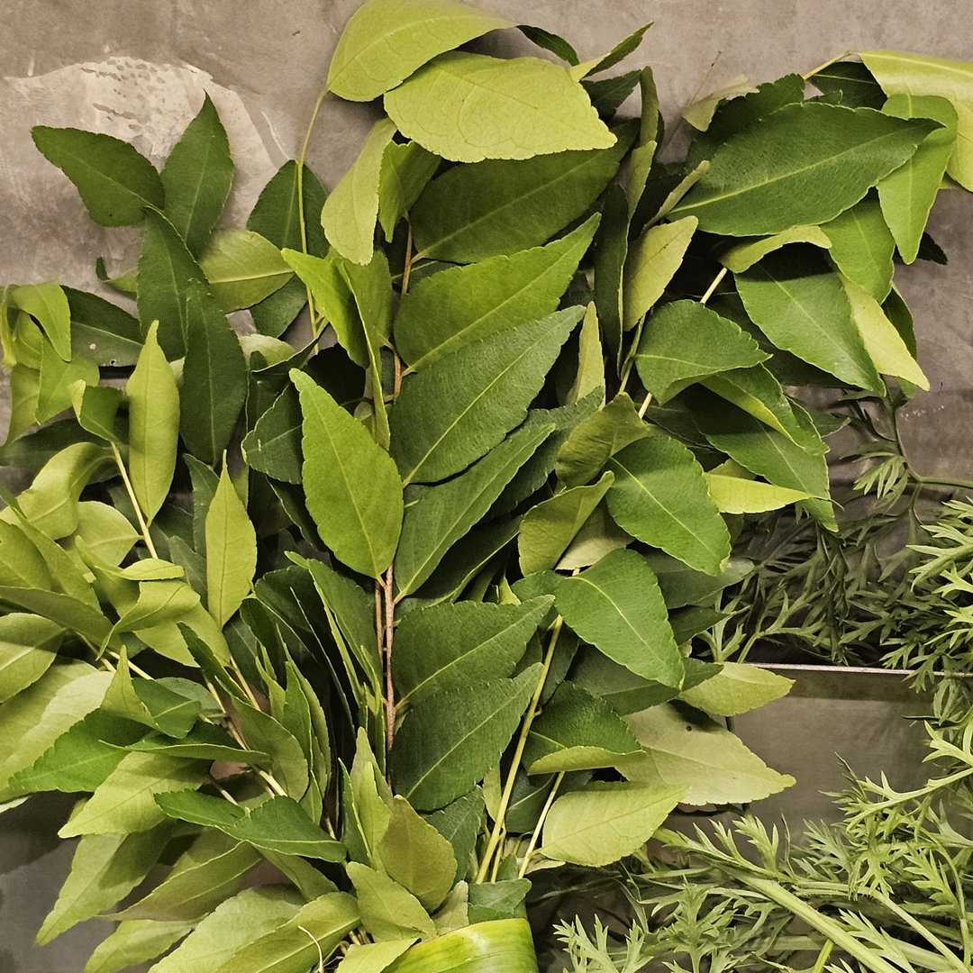 Curry Leaves 🍃 ໃບກະຫລີ່