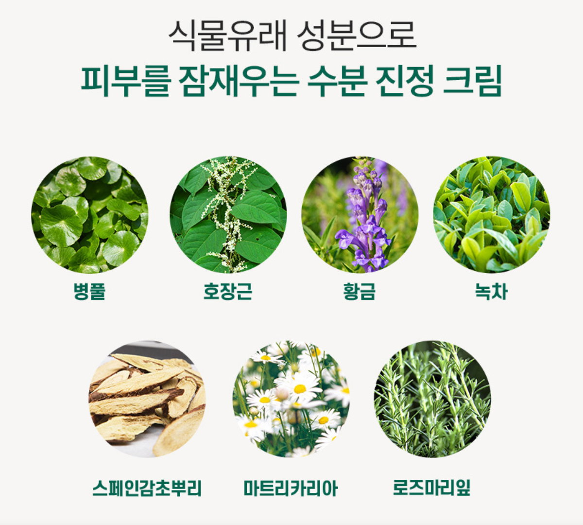 [보습] 모이스처 수분 크림 | [Hydration&Soothing] Moisture Cream_6
