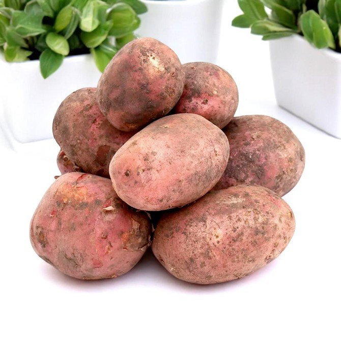 Картошкаи сурх (картофель красный)_1