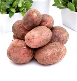 Картошкаи сурх (картофель красный)