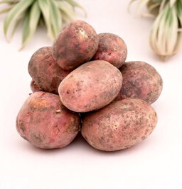 Картошкаи сурх (картофель красный)