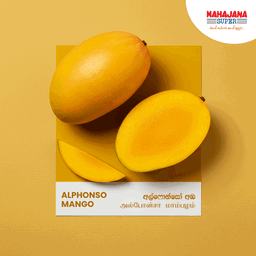 Mango - Alphonso
