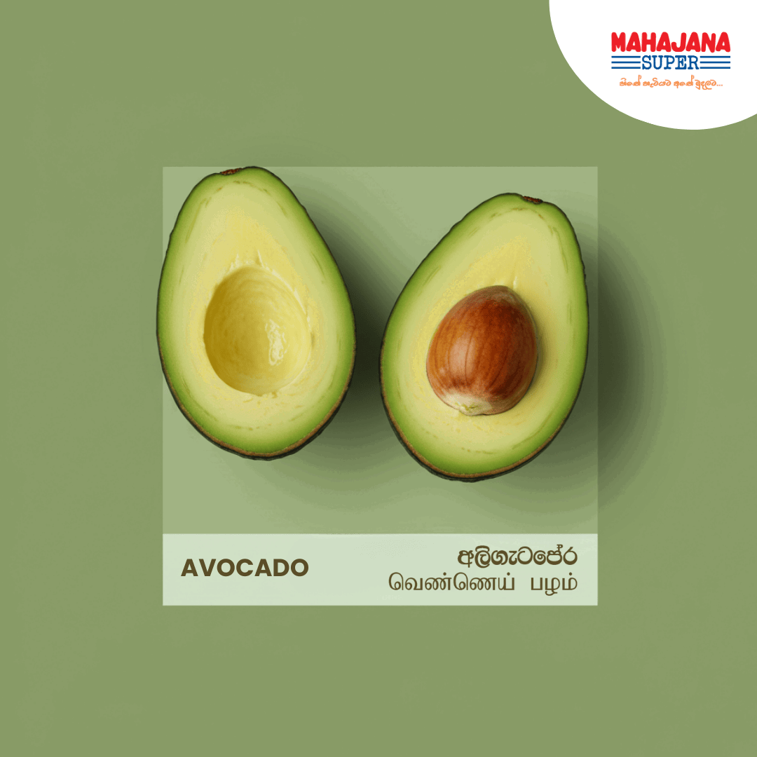 Avocado