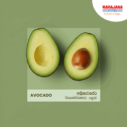 Avocado 