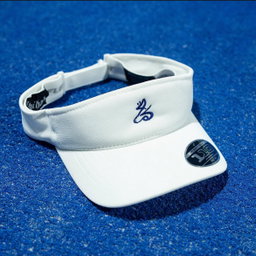 Visors