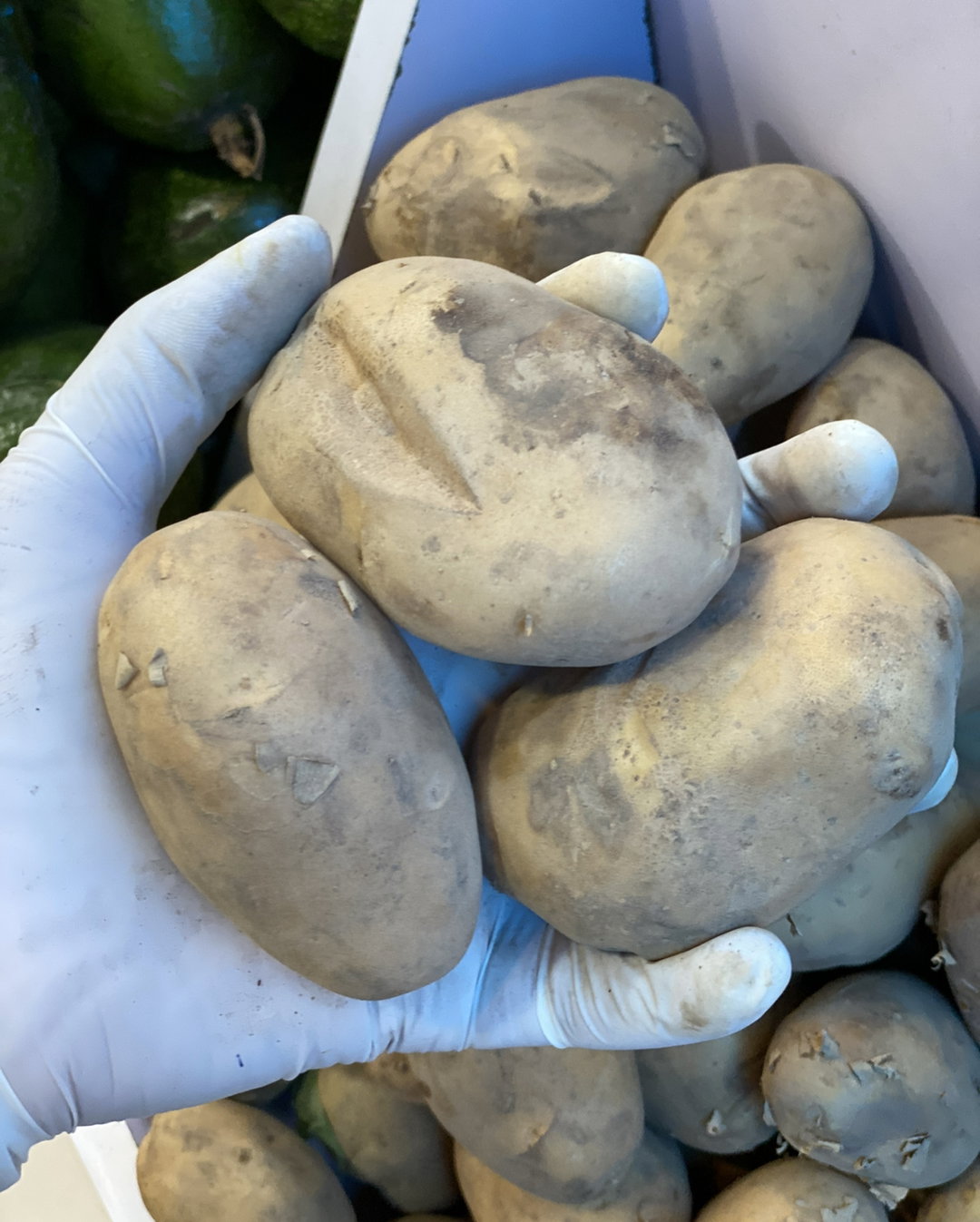 Irish potatoes x 3pcs