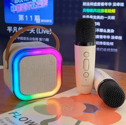 K12 KARAOKE SPEAKER TWO MICROPHONE 