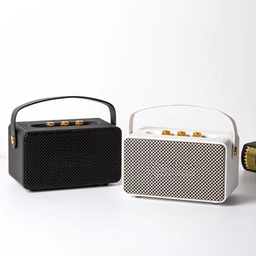 MARSHALL SPEAKER M10