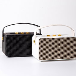 MARSHALL SPEAKER M10