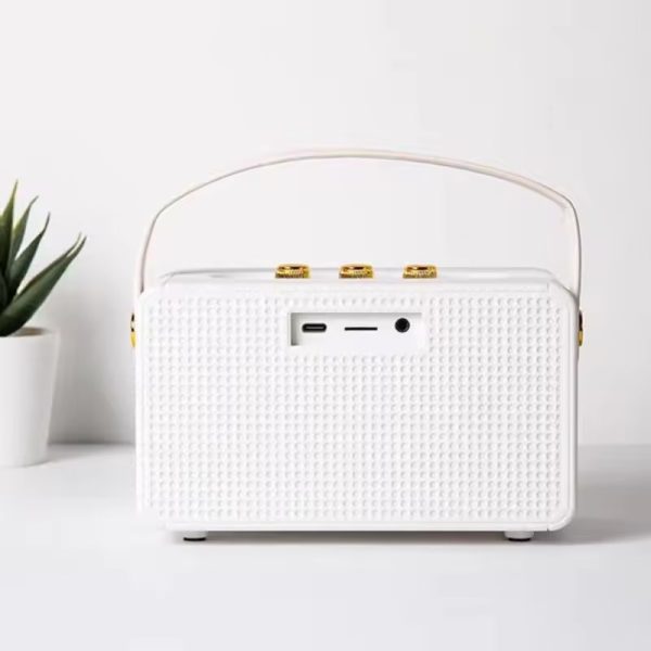 MARSHALL SPEAKER M10_4