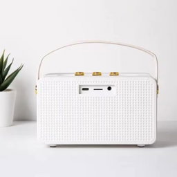 MARSHALL SPEAKER M10