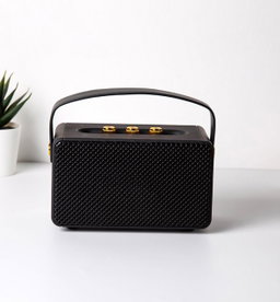 MARSHALL SPEAKER M10