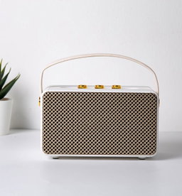 MARSHALL SPEAKER M10