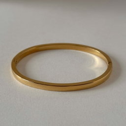 Fine Bangle