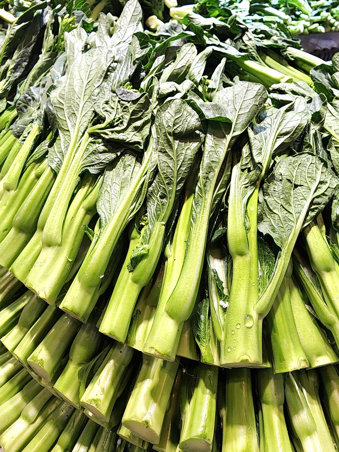 尖葉菜心🥦 （斤）