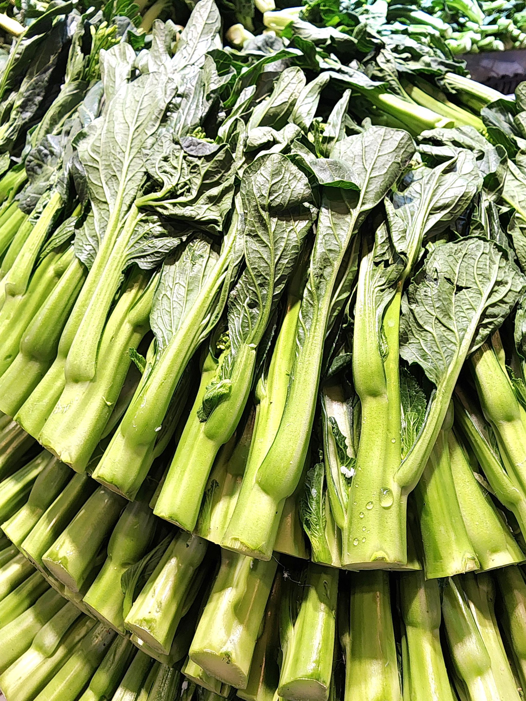 尖葉菜心🥦 （斤）_0