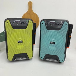 TTD8257 BLUETOOTH SPEAKER