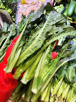 油麥菜苗🥦（斤）