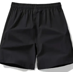 Men's Quick Dry Gym Shorts 