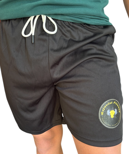 Men's Quick Dry Gym Shorts 