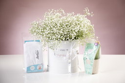 Tranquil Petals