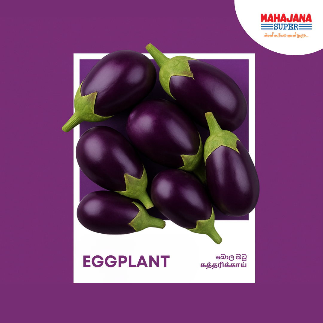 Eggplant (Bola Batu)