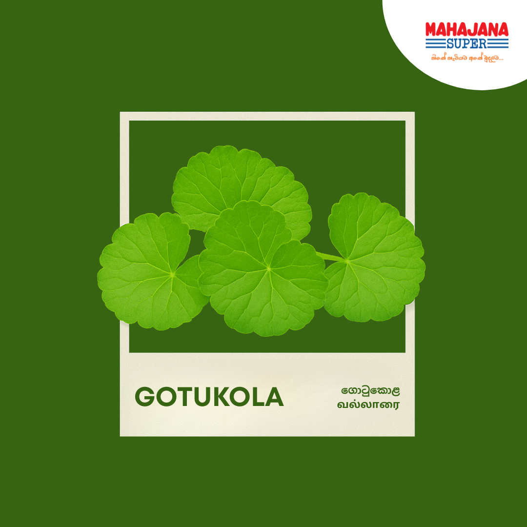 Gotukola_0