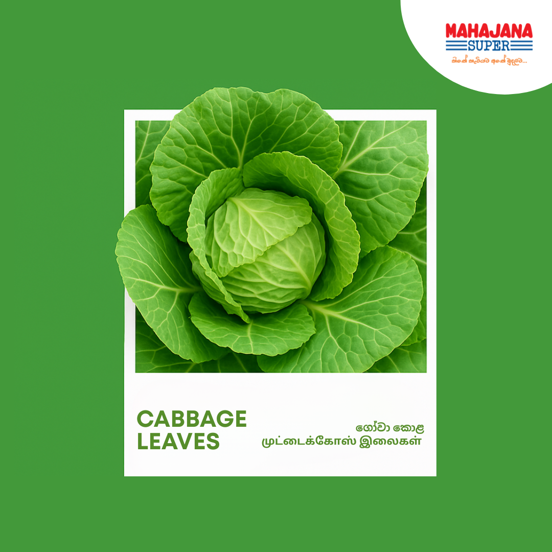 Cabbage Leaves