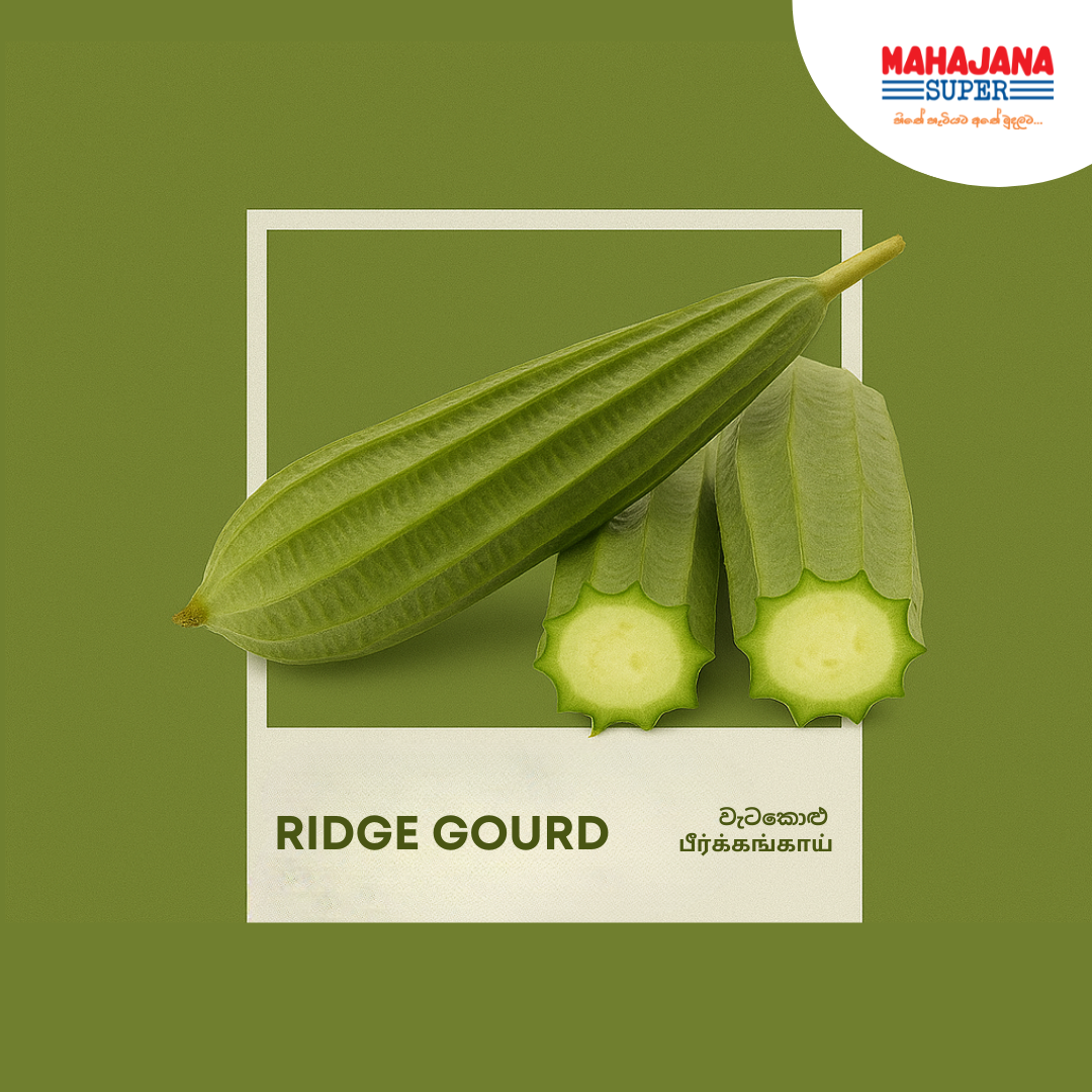 Ridge Gourd