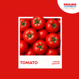 Tomatoes (500g)