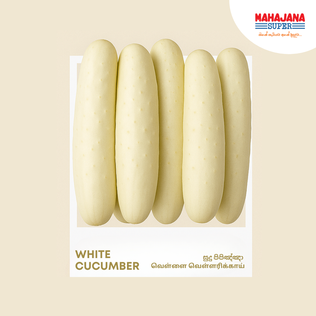 White Cucumber_0