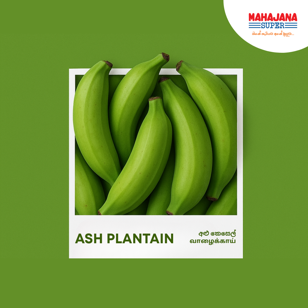 Ash Plantain