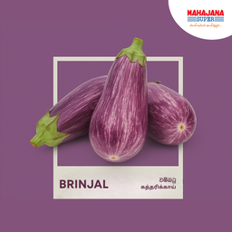 Brinjal (500g)