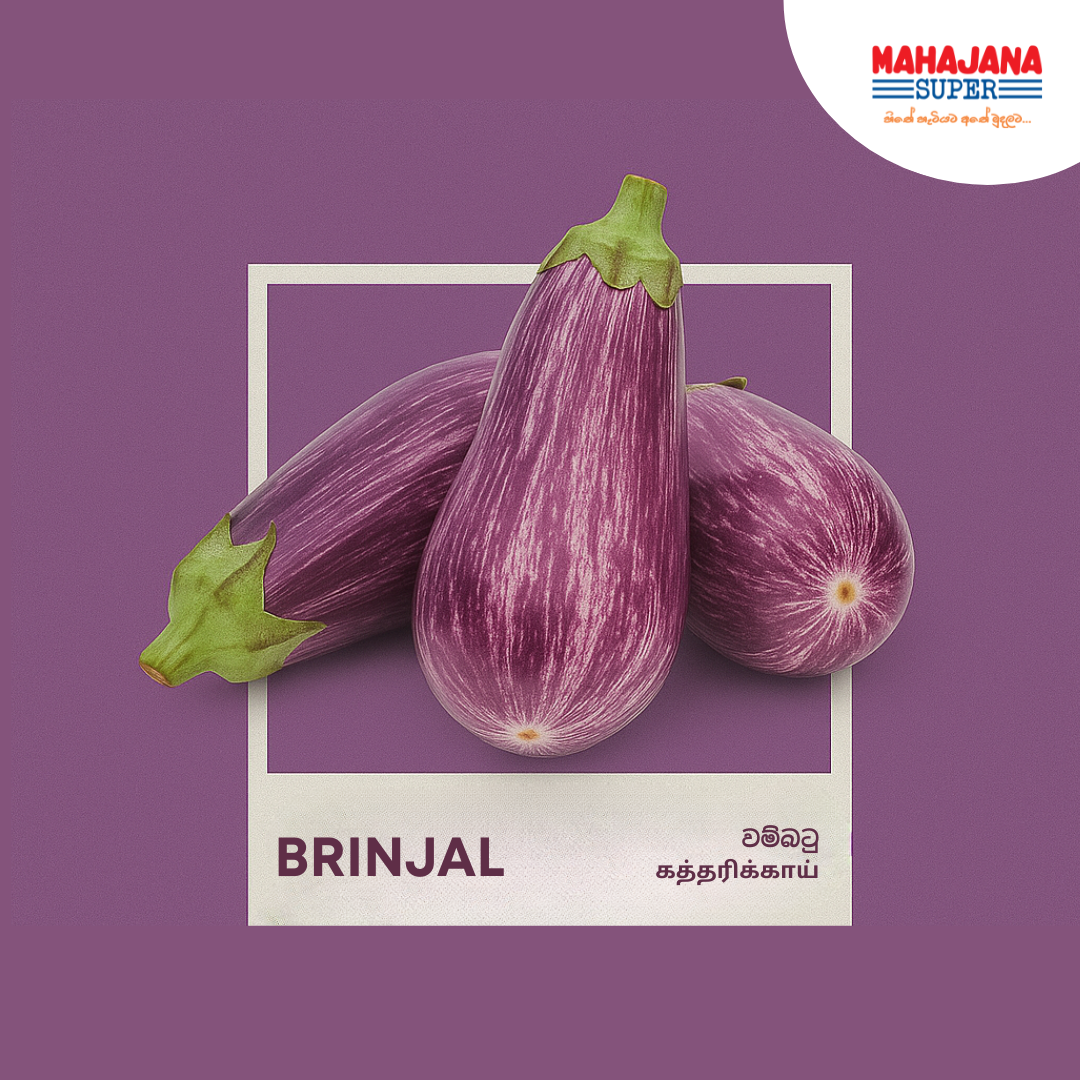 Brinjal (500g)_0