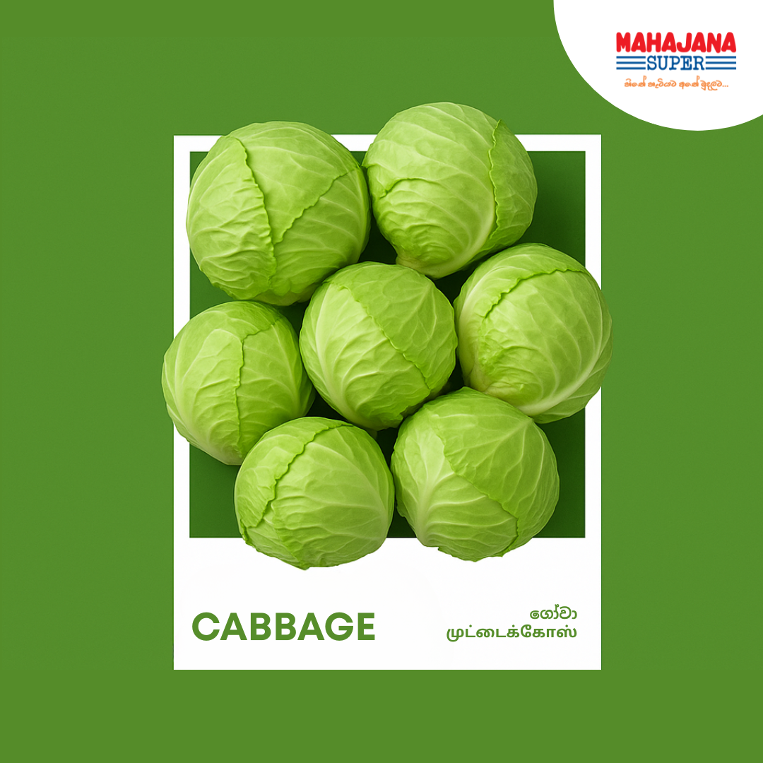 Cabbage_0