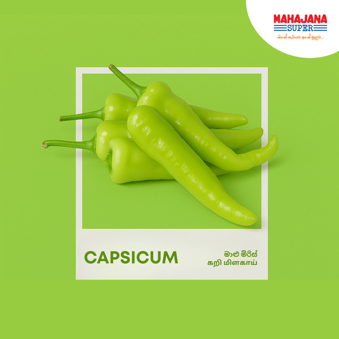 Capsicum