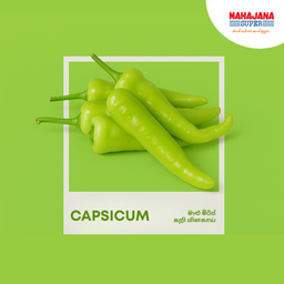 Capsicum