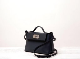 Mini 2424 EV Leather 