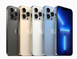 iPhone 13 Pro Max 256Gb (venant presque neuf - Garantie 3 mois sauf écran)