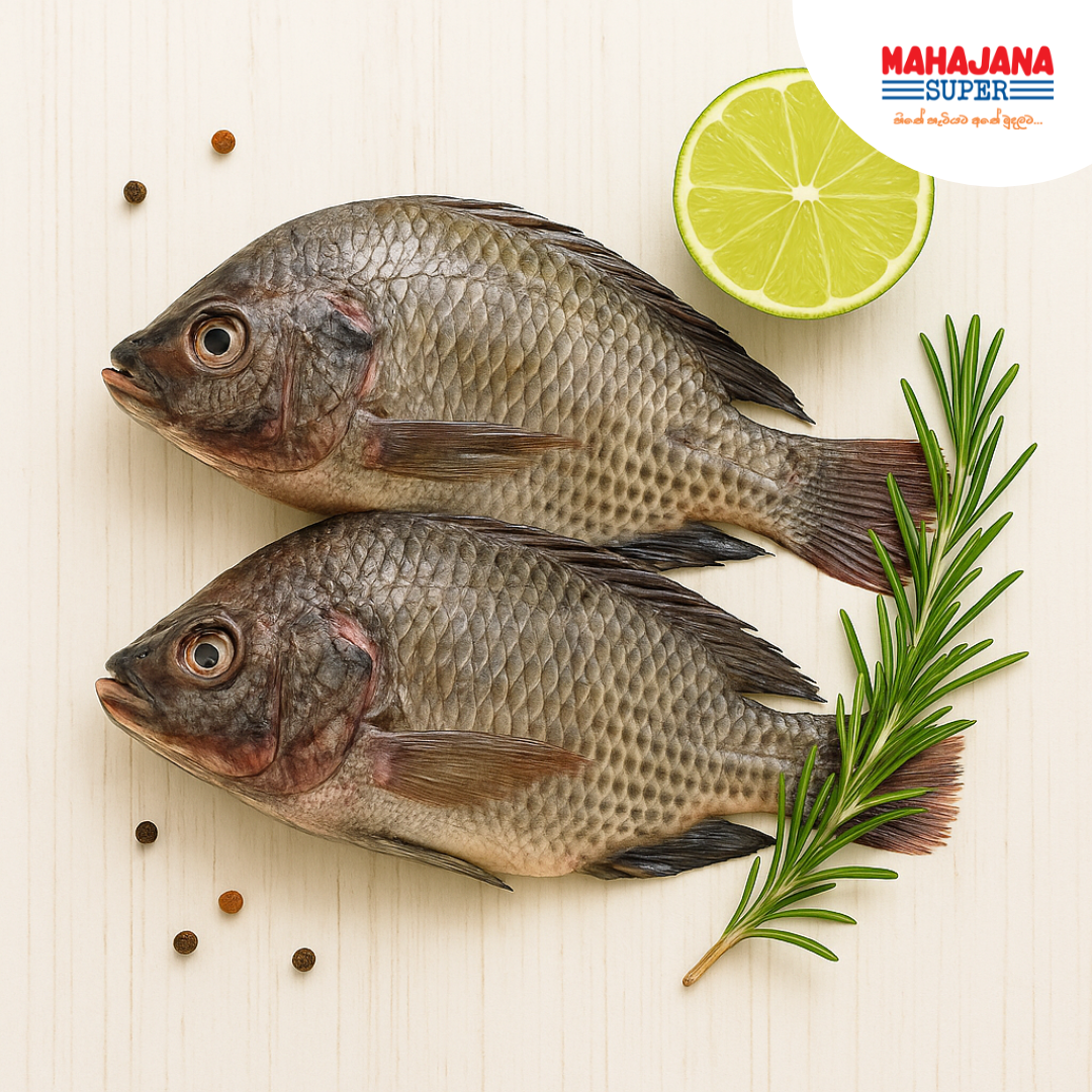 Thilapia Fish