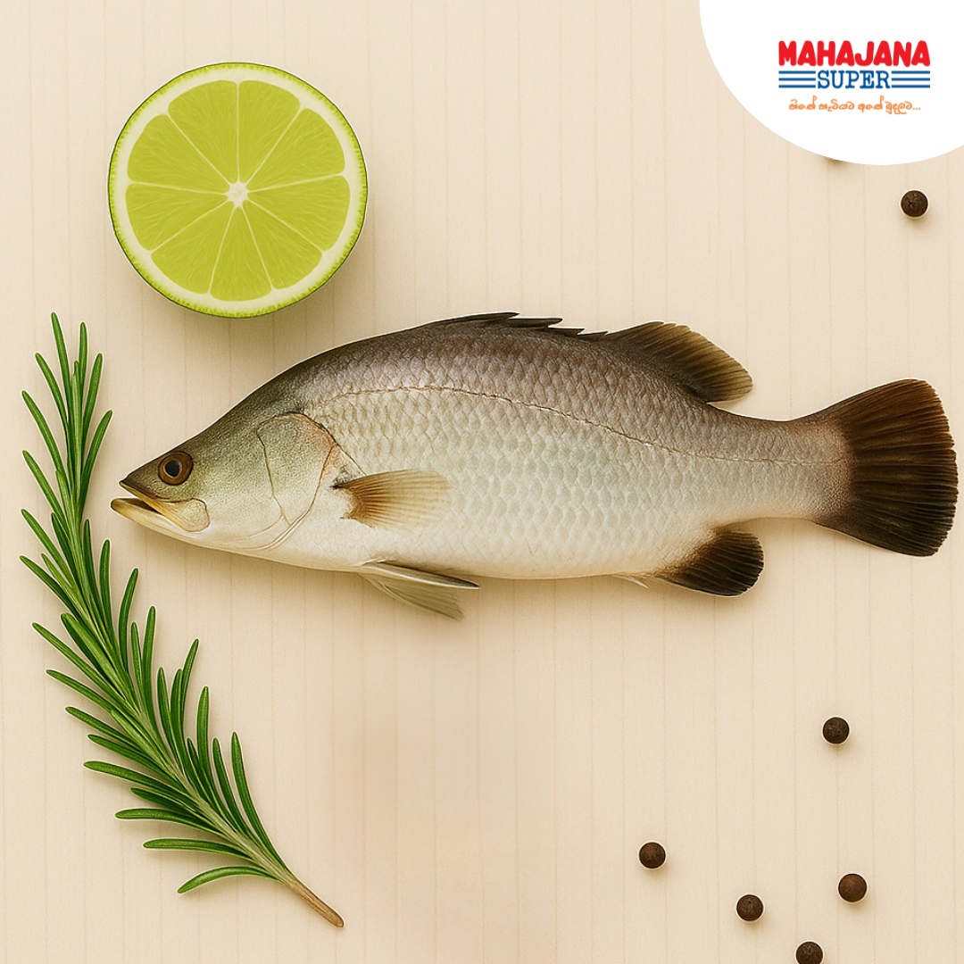  Koduwa Fish
