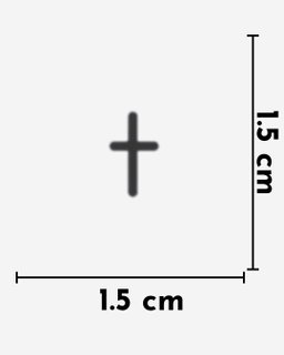 Fe