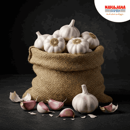 Garlic Bulk