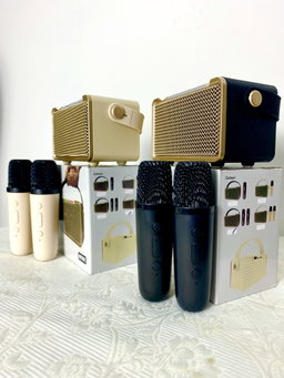 M50K KARAOKE SPEAKER 2 MIC
