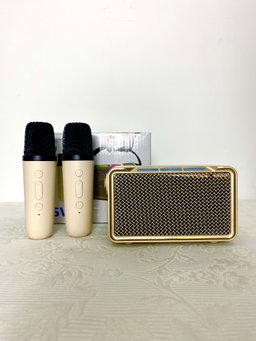 M50K KARAOKE SPEAKER 2 MIC