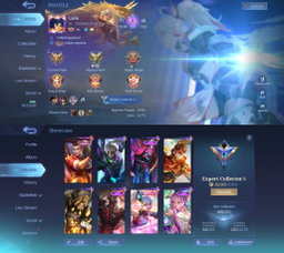 [MAX HERO + EMBLEM] 165 Skins