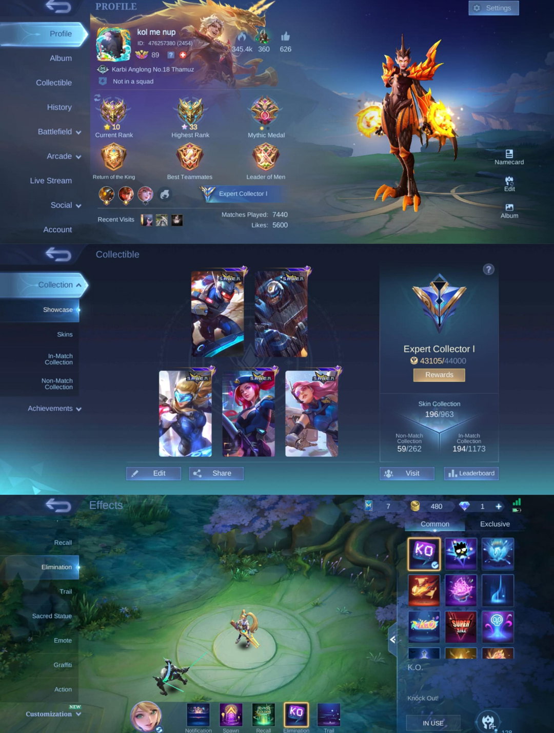 [MAX HERO + EMBLEM] 196 Skins